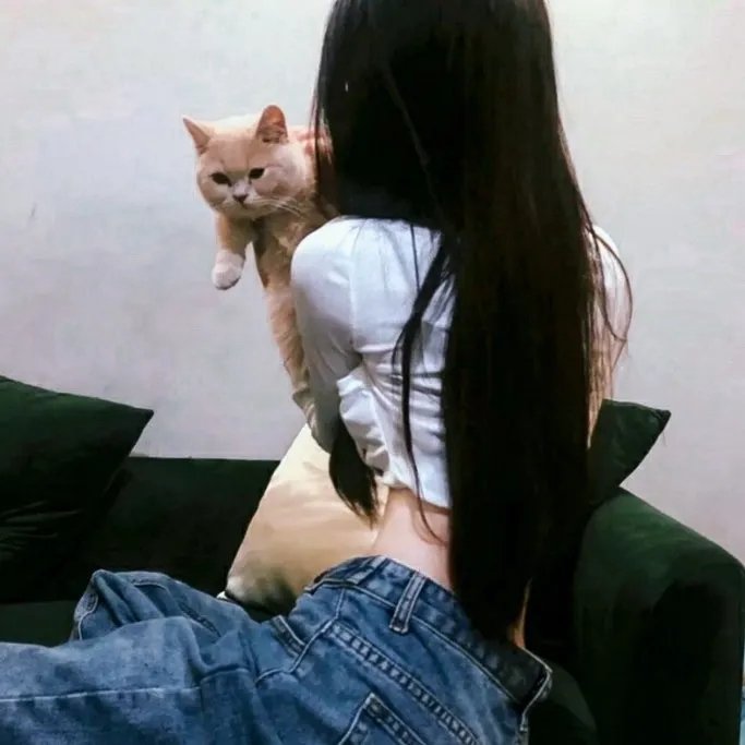 小说家电影